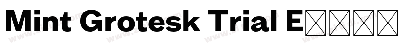 Mint Grotesk Trial E字体转换